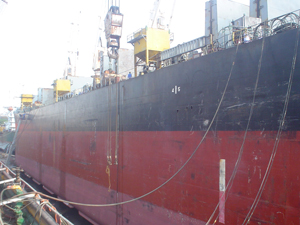 Side View Flagship Project